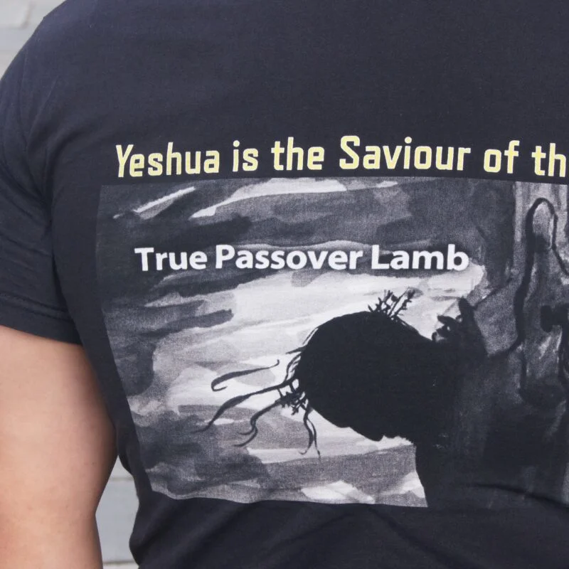 A Dead Dog or a Flea: David’s Analogy of God’s Protection