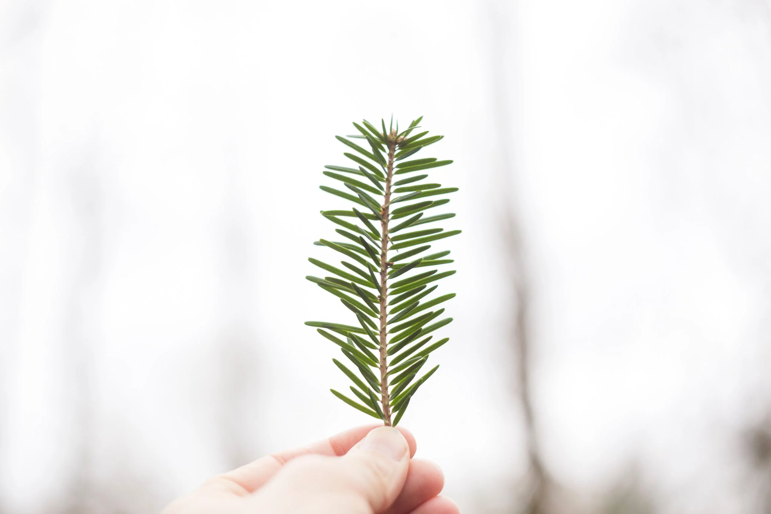 Walking in Humility and Service