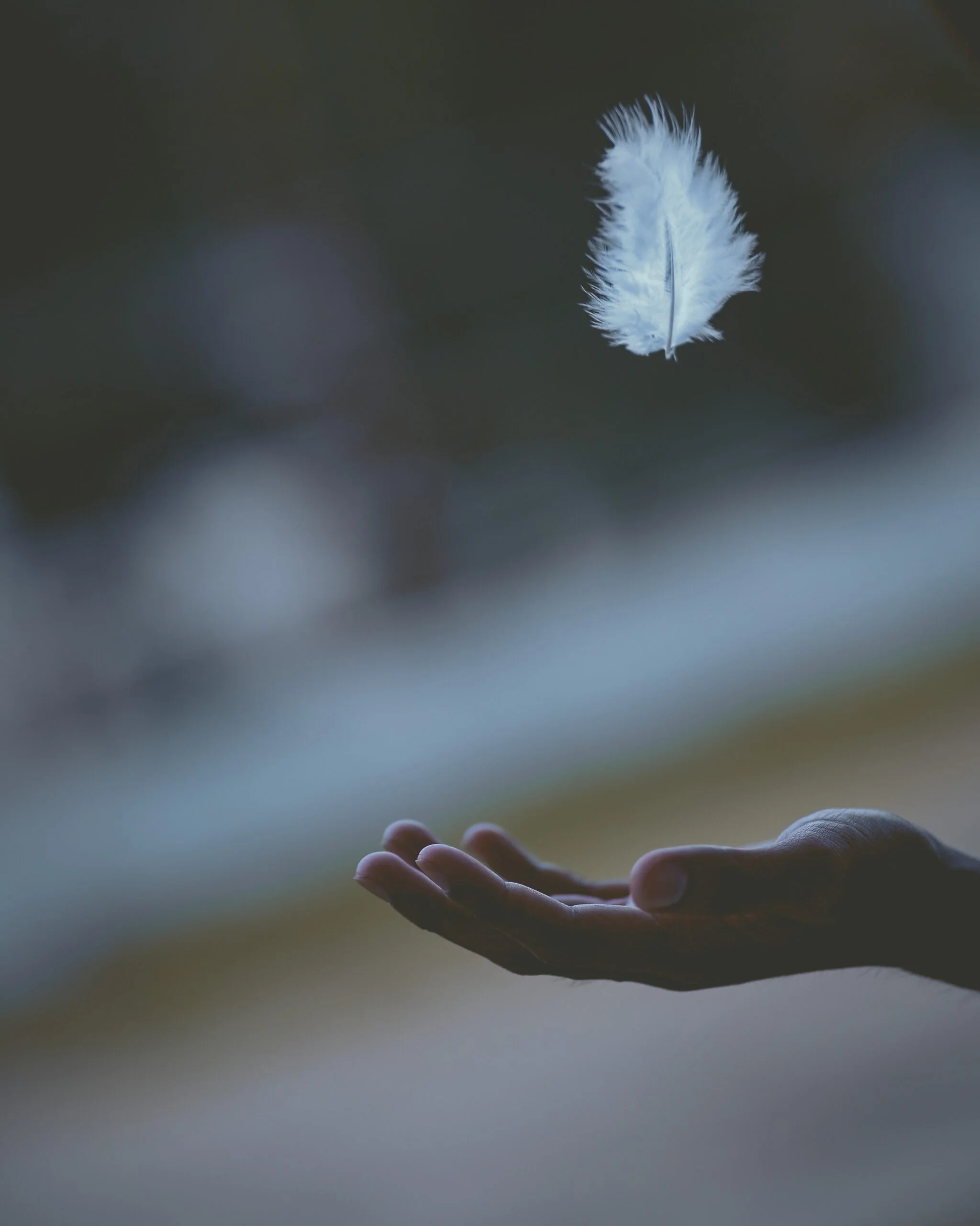 Finding Peace Amidst Turmoil
